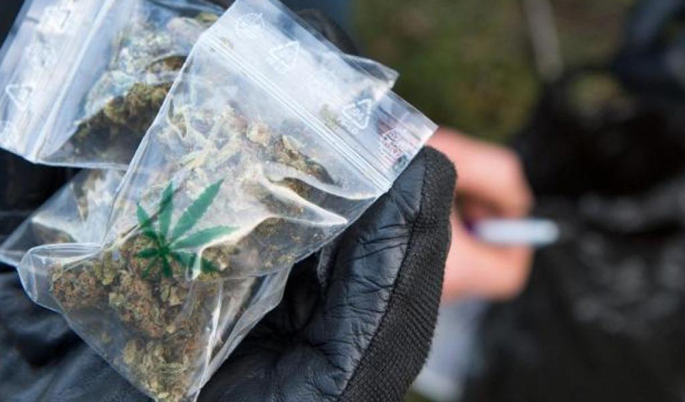 bolsas de mylar de cannabis