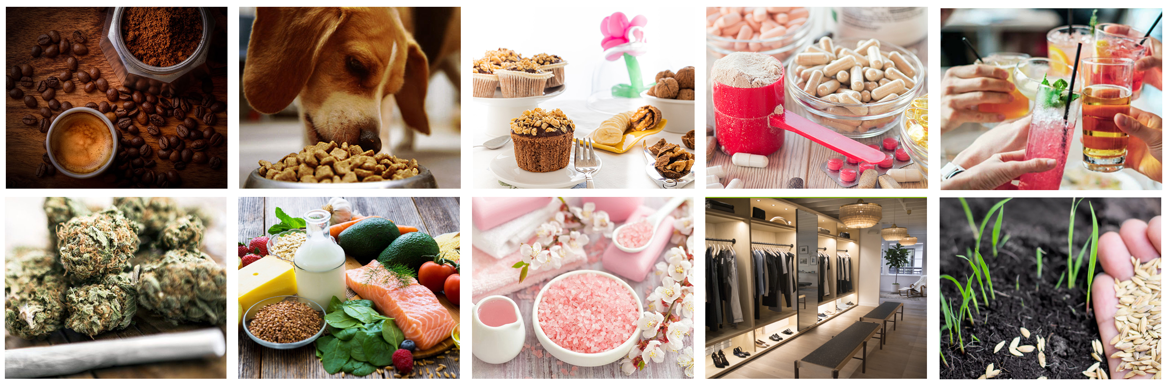 Greenbiobag industrial servido