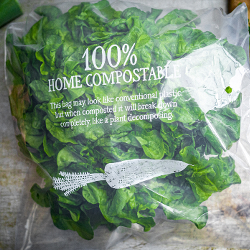 Fully Break Down Home Compostable Material Vegetable Broccoli Tomato Packaging Bag with Resealable Zipper