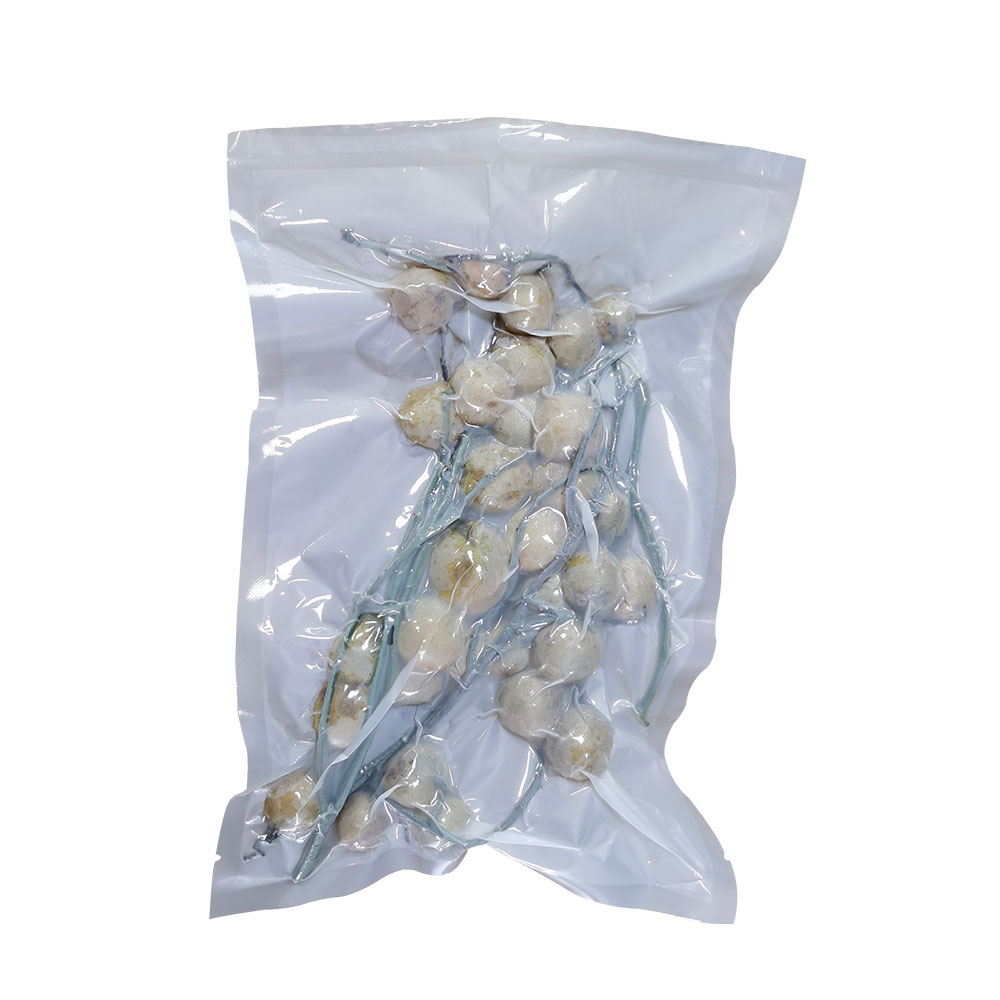 Food Grade Custom Size Fat Pouch Compostable Food Storage Fruits Beans Packaging Vacuum Bag